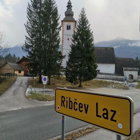 Počitniška hiša Remarkable *