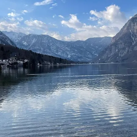 Holiday home Remarkable Bohinj