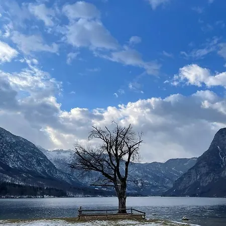 Remarkable Počitniška hiša *