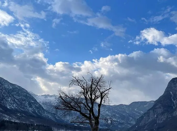 Remarkable Дом отдыха *